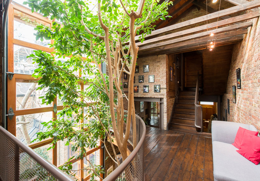 屋子里面种大树 -- 伦敦自然派阳光住宅